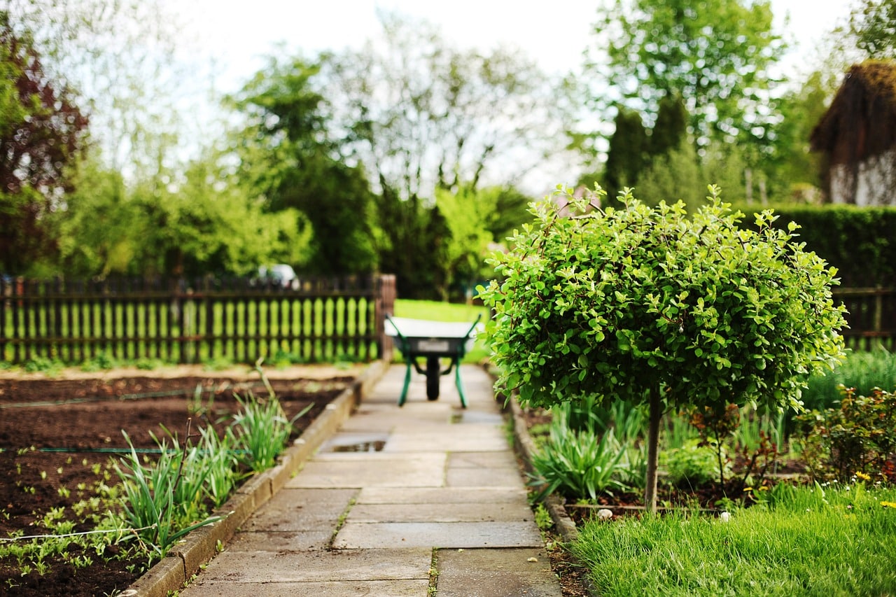 Home Garden Landscaping Newcastle Home Garden Landscaping Newcastle